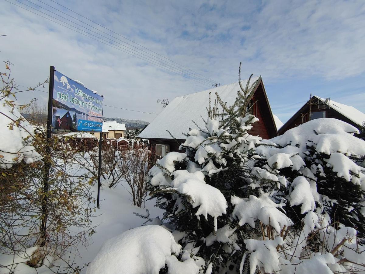 Domek "Igor" Nad Jeziorem Zywieckim W Zarzeczu Zarzecze  Exterior photo